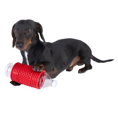 Cane che gioca con un gioco rosso che avvolge una bottiglia di plastica. Il gioco ha una superficie strutturata per una presa migliore.
