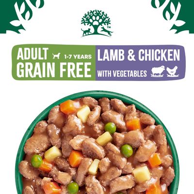James Wellbeloved Adult Hypoallergenic Grain Free Pouches - Lamb & Chicken in Gravy - Saver Pack: 48 x 90g