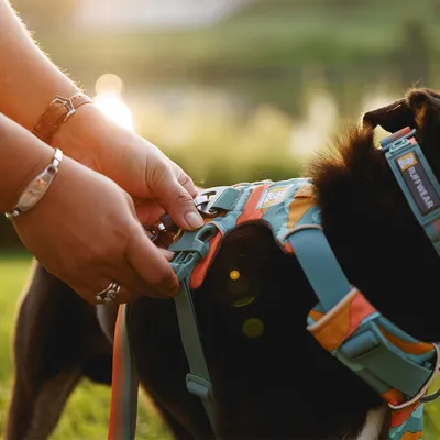 Ruffwear Front Range шлейка для собак, Spring Mountains - Размер S, обхват груди: 56 - 69 см 