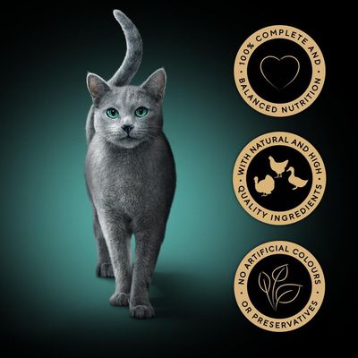 Three product badges: 100% complete and balanced nutrition, with natural and high quality ingredients, no artificial colours or preservatives.