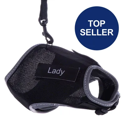 Schwarzes Geschirr mit Aufschrift 'Lady' und blauem Kreis mit Text 'Top Seller'.