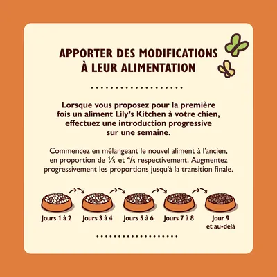 Conseils de transition alimentaire pour chien Lily’s Kitchen : mélange progressif du nouvel aliment sur une semaine, proportions indiquées pour chaque étape, jours 1 à 9 et au-delà.