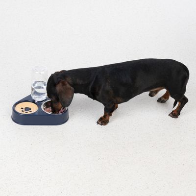 Triple Gamelles Pour Chat, Inclinaison à 15° 3 En 1 Avec Bouteille Automatique, Gamelles Surélevées Humides Et Sèches Pour Petits Chats Et Chiots (blanc