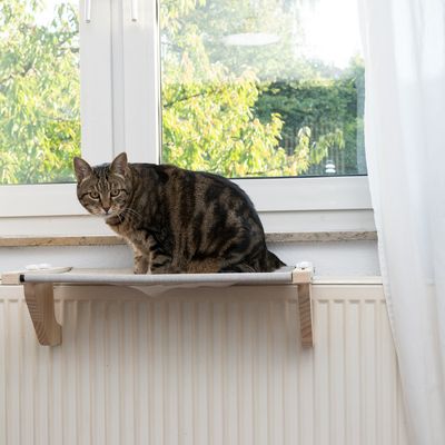 Cat bed mounted on radiator with striped cat on it. Bed made of wood and fabric, in front of a window with a view of greenery.