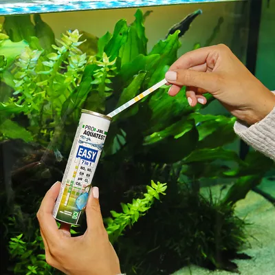 JBL ProAquaTest Easy 7in1 waterteststrips voor aquaria, toont waarden zoals NO2, NO3, GH, KH, pH en CO2. Gebruik in aquarium met groene plantenachtergrond.