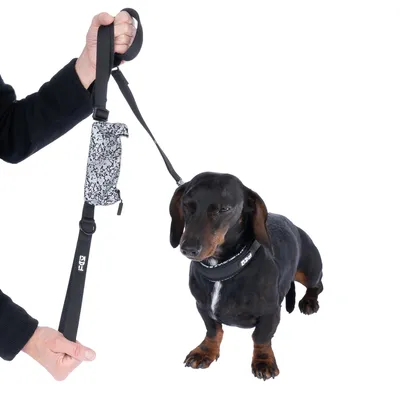 Hund an schwarzer Leine mit gepolstertem Griff und gemustertem Beutel. Geeignet für Spaziergänge oder Training.