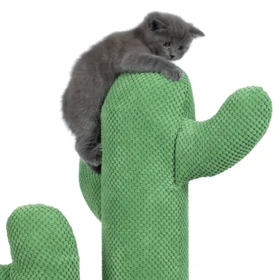 Grey kitten climbing a green cactus-shaped scratching post.