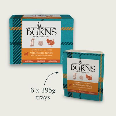 Burns Wholesome Turkey with Carrots & Brown Rice - 6 x 395g