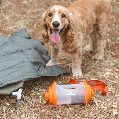 Nomad Tales Futterbehälter mit orangefarbenem Deckel und Tragegurt, auf einem Outdoor-Untergrund neben einer grauen Hundematte.