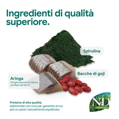 Aringhe del Mare del Nord, spirulina e bacche di goji come componenti di alta qualità. N&D Spirulina. Proteine di alta qualità per pasti equilibrati.