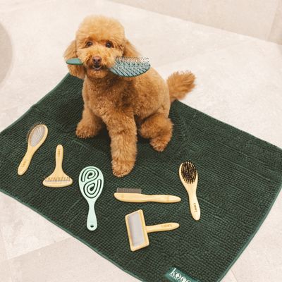 Tappetino verde con diverse spazzole e pettini per la cura degli pet in legno e plastica, inclusa una spazzola con setole naturali e un pettine districante.