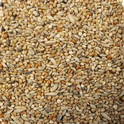 Close-up van een mix van verschillende zaden en granen, waaronder gierst, zonnebloempitten en andere graansoorten.