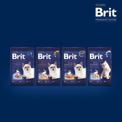 Brit Premium by Nature Indoor пилешко, рецепта за домашни котки. Без пшеница, подпомага храносмилането, контрола на космени топки и уринарните пътища. Изображение на съставки и котка.