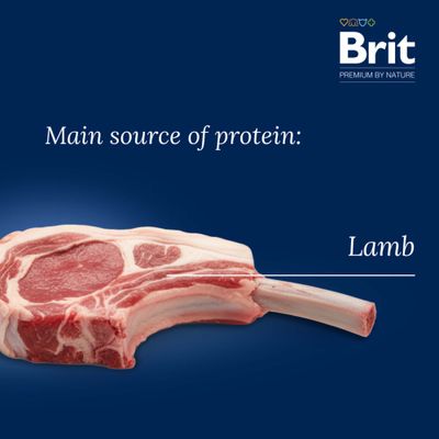 Brit Premium by Nature Sensitive, jagnięcina i ryż, 60%, dla dorosłych psów wszystkich ras. Bez GMO, wspiera trawienie, skórę, sierść i odporność. Z olejem z łososia i borówkami.