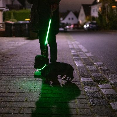 Chien en laisse avec collier et laisse lumineux verts, promené par une personne sur un trottoir la nuit. Collier et laisse éclairés pour visibilité nocturne.