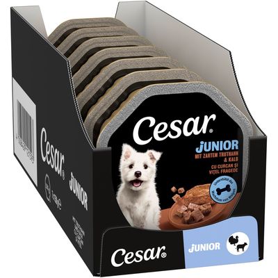 Cesar Junior with tender turkey & veal, supports the growth of puppies. Several portion trays visible in black packaging.