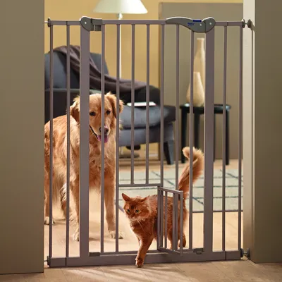 Cancello in metallo Savic per pet, con porticina integrata. Un cane e un gatto visibili, il gatto passa attraverso la porticina mentre il cane resta dietro al cancello.