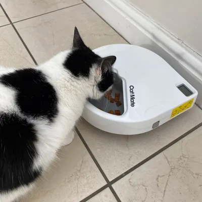 Distribuitor automat de hrană Cat Mate cu afișaj digital, pisică mănâncă hrană uscată din bol. Design alb pe podea cu gresie.