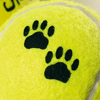 Keltainen tennispallo, jossa mustat tassunjäljet, sopii leluksi lemmikeille.
