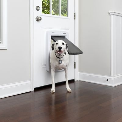 Dog walks through a white door with built-in plastic dog flap and black flap cover.