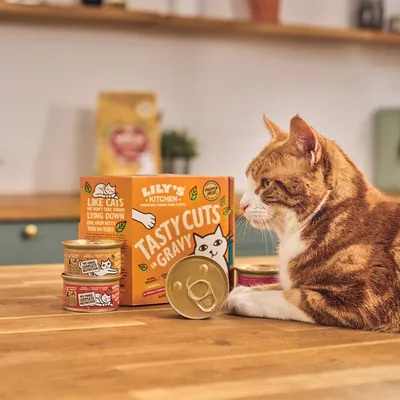 Cat sitting beside Lily's Kitchen Tasty Cuts in Gravy box and several opened and unopened tins of cat food on a kitchen table.