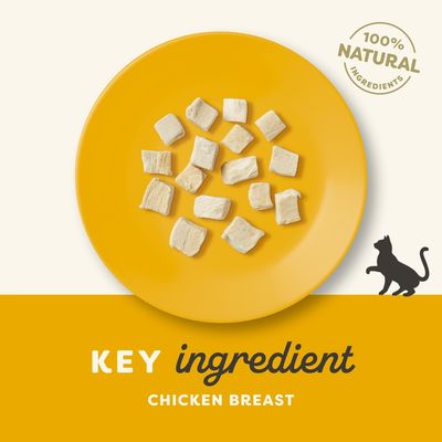 100% NATURAL INGREDIENTS. KEY ingredient CHICKEN BREAST. Kawałki mięsa na żółtym talerzu, grafika kota. Tekst w języku angielskim.