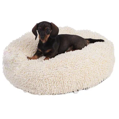 Petit chien allongé sur un panier rond en tissu bouclé crème, présenté sur fond blanc. Le matériau du panier semble doux et moelleux.