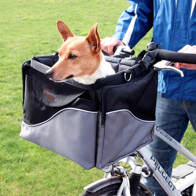 Cykelkorg för hundar, modell 'Friends on Tour', svart-grå, med hund i korgen och cykelstyre synligt.