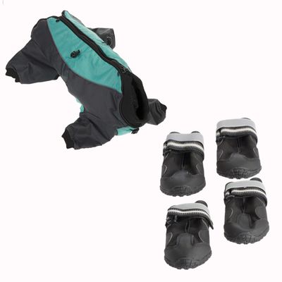 Cane con tuta protettiva grigia e verde acqua, quattro scarpe nere per cani e simbolo percentuale arancione che indica offerta o sconto.
