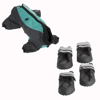 Set Tuta per cani Menta + Scarpette S & P Boots - Tuta Tg. L + Scarpette Tg. S (3) Set Tuta per cani Menta + Scarpette S & P Boots - Tuta Tg. L + Scarpette Tg. S (3)