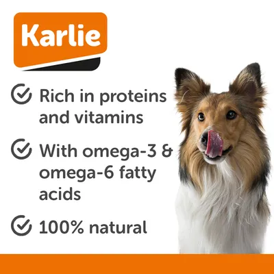 Karlie Fatty Salmon Skin - dog snacks - Saver Pack: 6 x 1 Snack