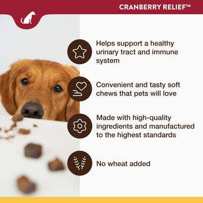 Texte en anglais : Cranberry Relief. Helps support a healthy urinary tract and immune system. Convenient and tasty soft chews that pets will love. Made with high-quality ingredients and manufactured to the highest standards. No wheat added.