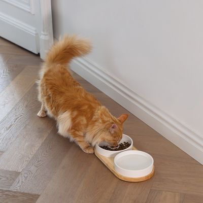 Gatto rosso mangia da un set di doppie ciotole con base in legno, composto da una ciotola per crocchette e una per acqua.