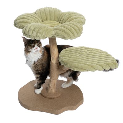 Arbre à chat avec deux plateformes vertes en tissu doux, poteau central en bois et base recouverte de sisal, chat adulte à poils longs debout à côté de la structure.