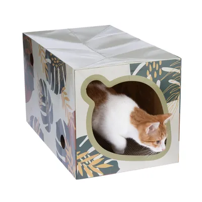 Kartonhaus mit tropischem Muster und Katzenkopf-förmigem Eingang, weisse und orangefarbene Katze schaut heraus.