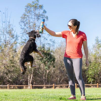 Cane salta verso l'alto per raggiungere una confezione di snack tenuta da una persona.