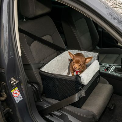 Seggiolino per cani per auto con fissaggio della cintura di sicurezza e morbida imbottitura interna, montato sul sedile anteriore passeggero.