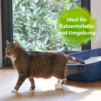 Text: Ideal für Katzentoilette und Umgebung. Katze neben einer blauen Katzentoilette mit Streu, im Hintergrund Fenster mit Gartenblick.