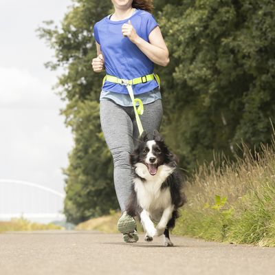 Donna che fa jogging con un cane fissato a una cintura addominale gialla. Dimostrazione di un sistema di guinzaglio per cani a mani libere per attività sportive.