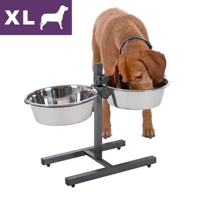 Stojak z dwiema metalowymi miskami, pies jedzący z jednej miski. W lewym górnym rogu fioletowa ikona XL z sylwetką psa. Stojak z dwiema metalowymi miskami, pies jedzący z jednej miski. W lewym górnym rogu fioletowa ikona XL z sylwetką psa.