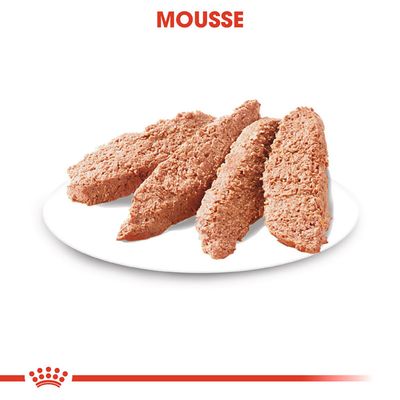 Royal Canin Mousse, podávané na bielom tanieri. Text „Mousse“ v hornej časti obrázka.