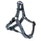 Geschirr DC Batman, schwarz Größe S: 39 - 51 cm Brustumfang