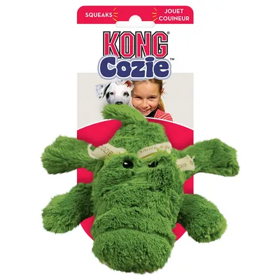 KONG Cozie plišana zelena igračka za pse, natpis SQUEAKS na pakiranju, prikaz proizvoda s etiketom i ilustracijom psa.