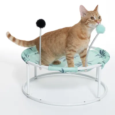 Katzenliege mit Metallrahmen, grünem Stoffbezug und zwei Spielbällen an Federn. Rote Katze sitzt auf der Liege.