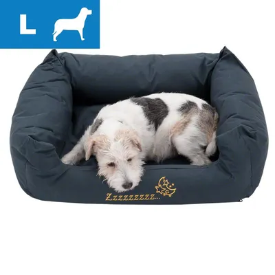 Legowisko dla psa, rozmiar L, z napisem 'Zzzzzzzz...' i grafiką księżyca oraz gwiazdek. Na legowisku leży biało-czarny pies.