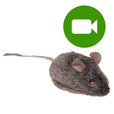 Pluszowa myszka zabawka dla kota, futrzana powierzchnia, czerwone oko, długi ogon. Zielona ikona kamery wideo w prawym górnym rogu.