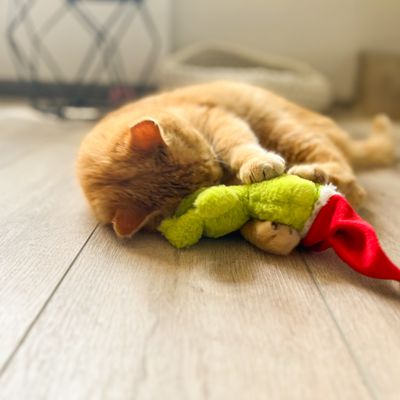 Chat roux allongé sur le sol avec une peluche verte et rouge entre les pattes, jouet en tissu visible.