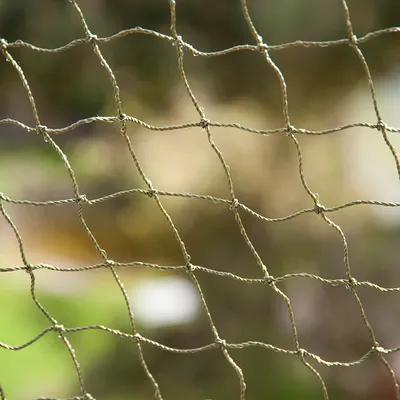 Close-up of green twisted rope netting with square mesh pattern, outdoors. Material and mesh size clearly visible.