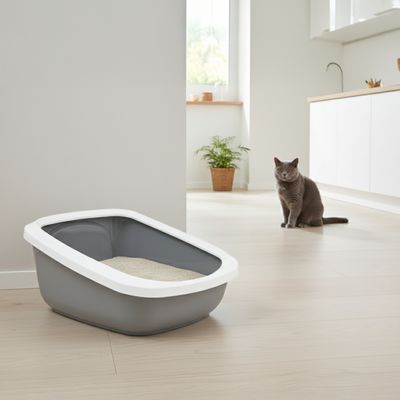 Grey cat litter tray with white rim and lowered entry, suitable for easy use.