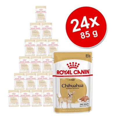 Royal Canin Chihuahua Adult, 24 saszetki po 85 g. Widoczna grafika psa rasy chihuahua i napis Coat Health na opakowaniu.